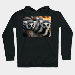 Group of ring-tailed lemur monkeys Hoodie